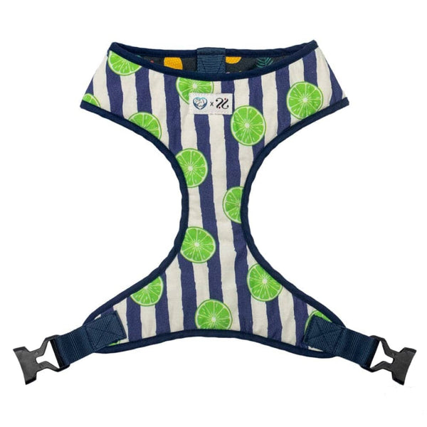 Pet And Parents Fresh Fruit Reversible Harness for Dogs