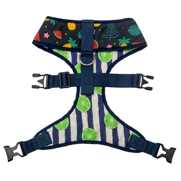 Pet And Parents Fresh Fruit Reversible Harness for Dogs
