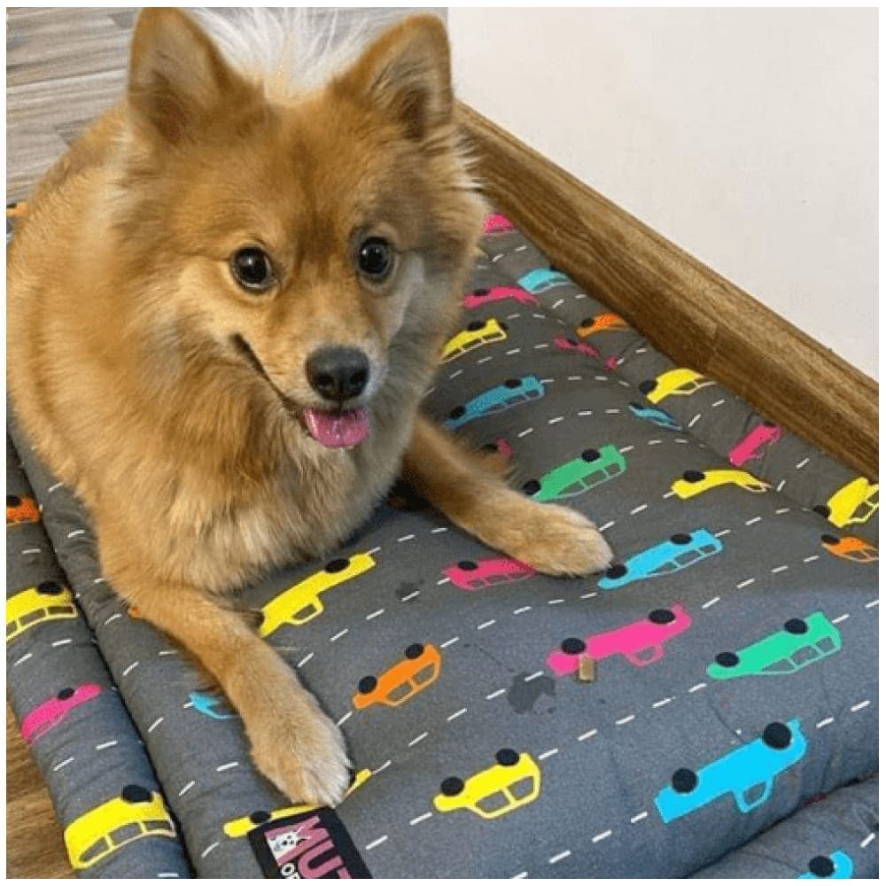 Mutt of Course Need Fur Speed Mat for Pets