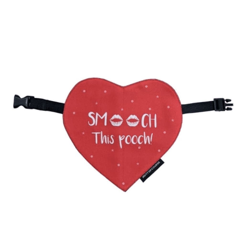 Mutt of Course Smooch This Pooch Bandana for Dogs