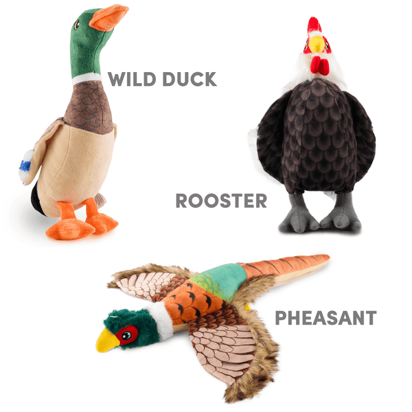 Barkbutler x Fofos Plush Pheasant Toy for Dogs | For Soft Chewers