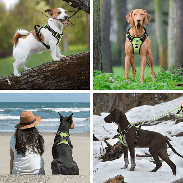 Hank 3M Reflective Harness for Puller Dogs (Neon Green)