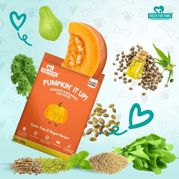 Fresh For Paws Pumpkin It Up Dog Wet Food (100g)