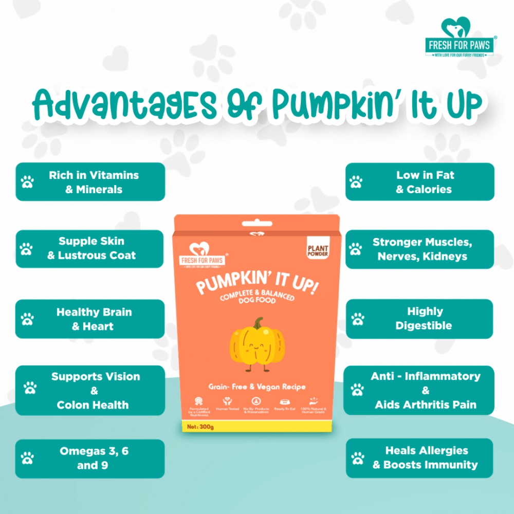 Fresh For Paws Pumpkin It Up Dog Wet Food (100g)