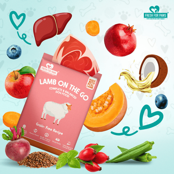 Fresh For Paws Lamb On The Go Dog Wet Food (100g)