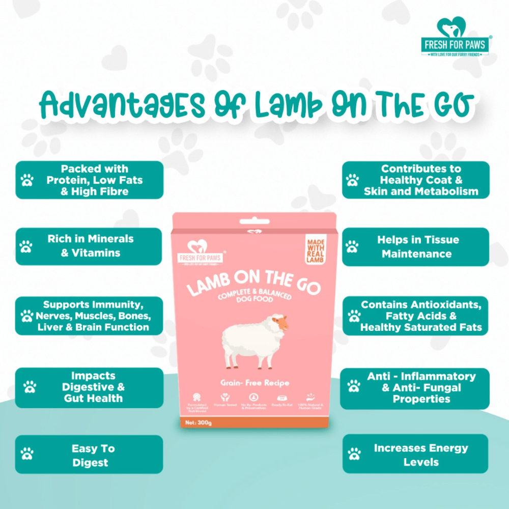 Fresh For Paws Lamb On The Go Dog Wet Food (100g)