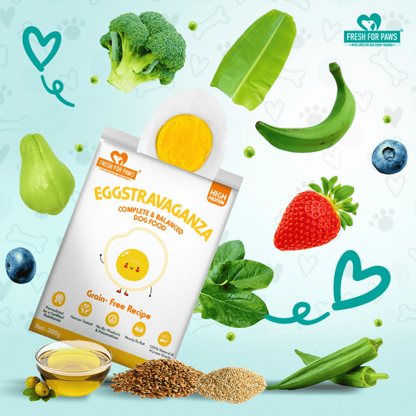 Fresh For Paws Eggstravaganza Dog Wet Food (100g)