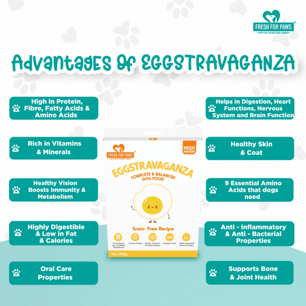 Fresh For Paws Eggstravaganza Dog Wet Food (100g)