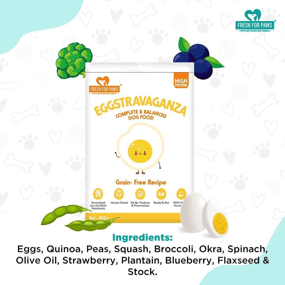 Healing Leaf Hemp Protien Powder for Pets and Fresh For Paws Eggstravaganza Dog Wet Food Combo