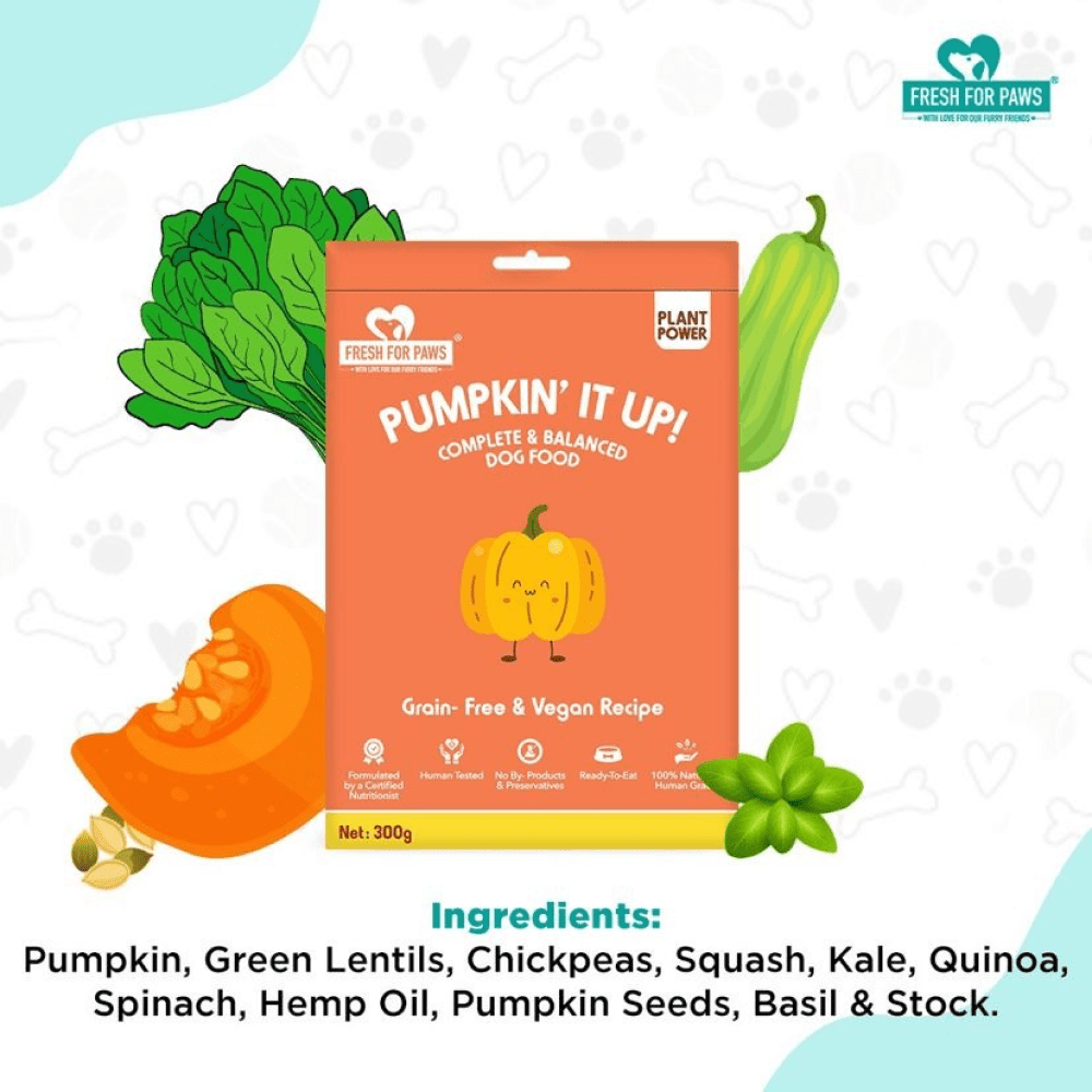Fresh For Paws Pumpkin It Up Dog Wet Food (100g)
