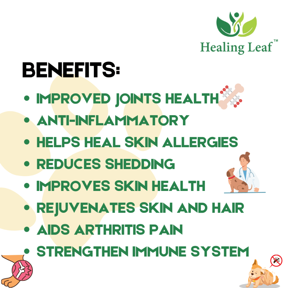 Healing Leaf Hemp Oil for Dogs and Cats (Limited Shelf Life) Both-Health & Wellness Healing Leaf