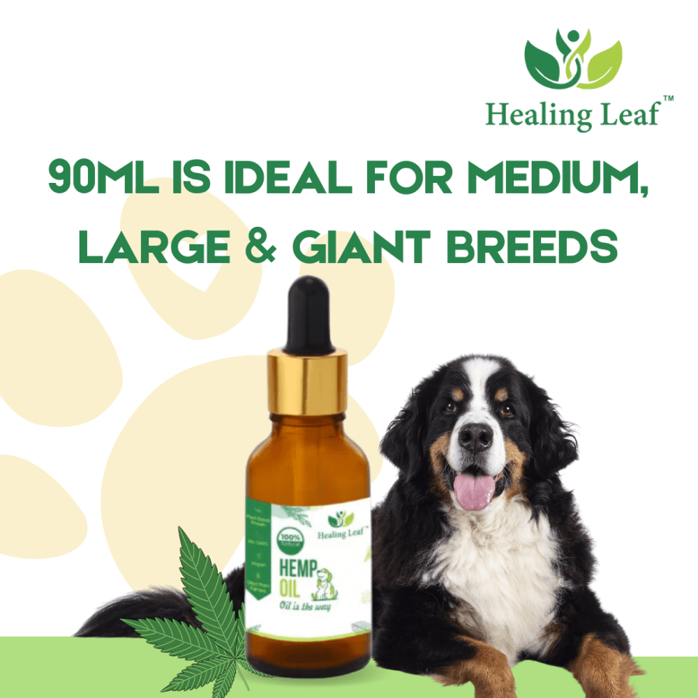 Healing Leaf Hemp Oil for Dogs and Cats (Limited Shelf Life) Both-Health & Wellness Healing Leaf
