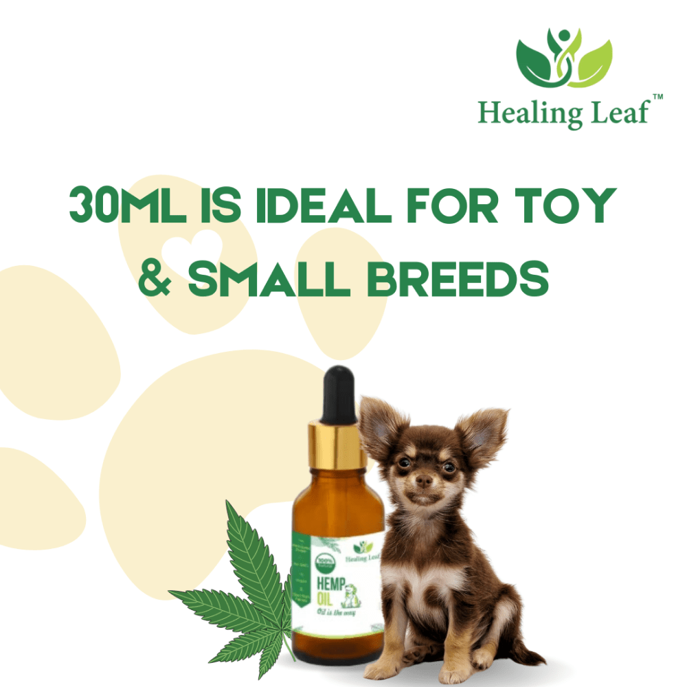 Healing Leaf Hemp Oil for Dogs and Cats (Limited Shelf Life) Both-Health & Wellness Healing Leaf