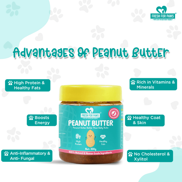 Barkbutler Chu the bone Treat Dispensing Toy and Fresh For Paws Peanut Butter for Dogs Combo