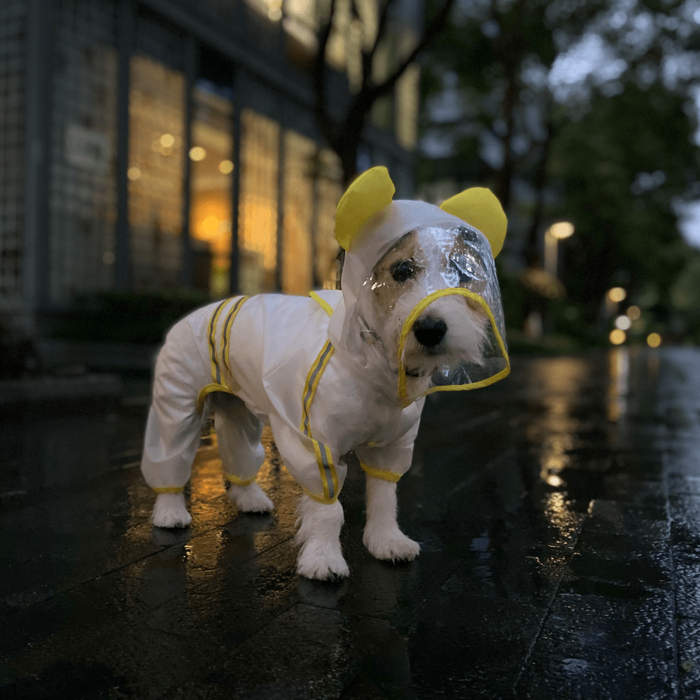 Fofos Four Leg Yellow Raincoat for Dogs (Button Up Style)