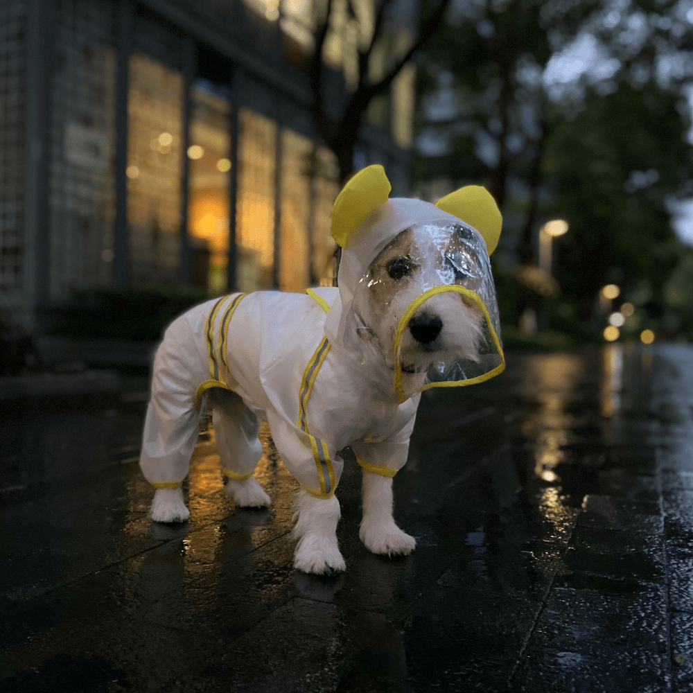 Barkbutler x Fofos Four Leg Yellow Raincoat for Dogs (Button Up Style) Dogs-Clothing & Accessories Barkbutler