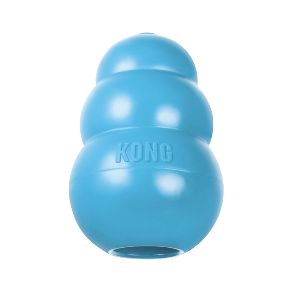 Kong Puppy Toy for Dogs (Blue)