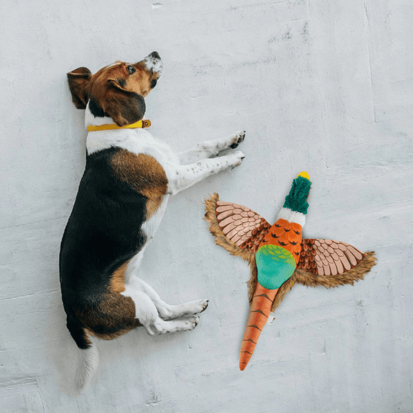 Barkbutler x Fofos Plush Pheasant Toy for Dogs | For Soft Chewers