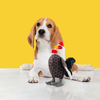 Barkbutler x Fofos Plush Rooster Toys for Dogs