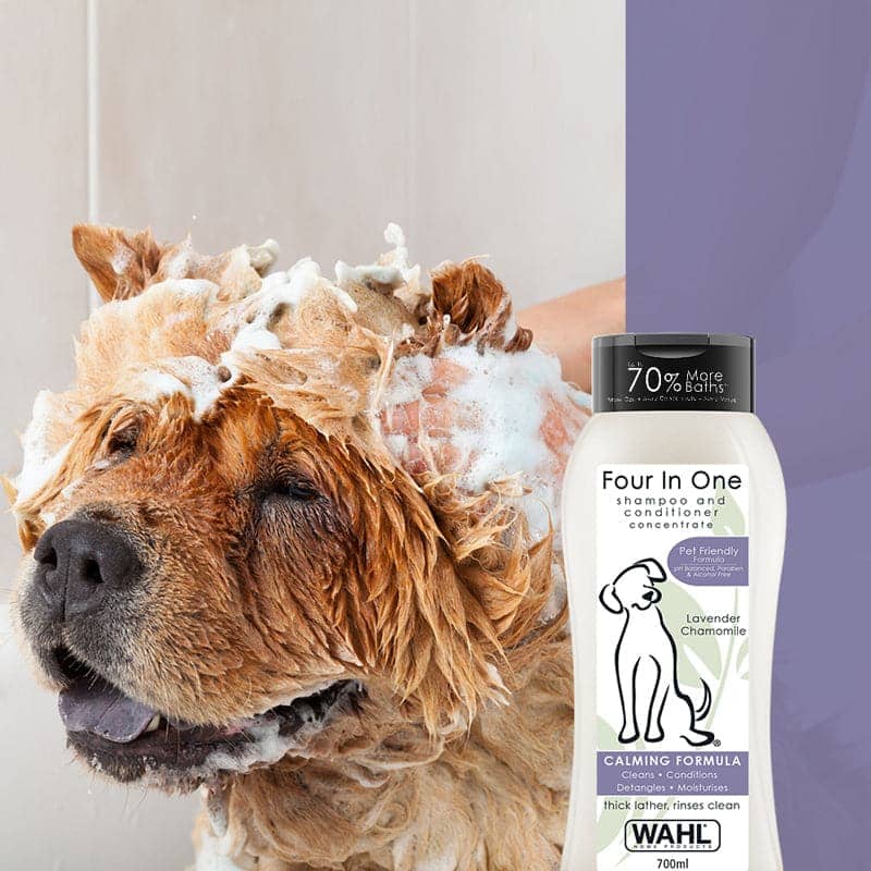 Wahl 4 in 1 Lavender Chamomile Calming Shampoo & Drools Absolute Vitamin Supplement Tablets Dog Combo Exclusive Combo Exclusive Combo