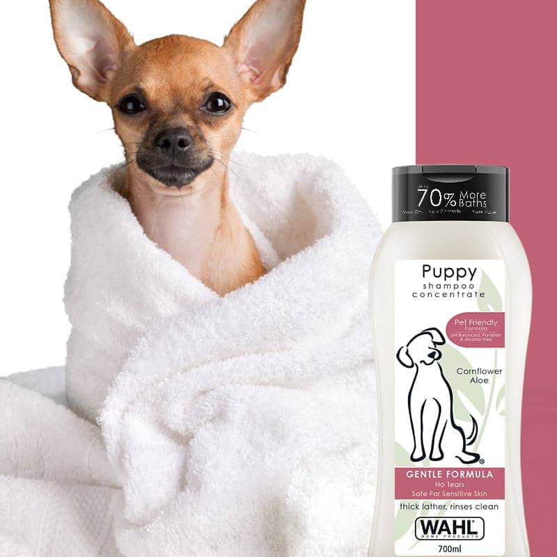Wahl Shampoo for Puppy (Aloe Cornflower) Dogs-Grooming Supplies Wahl