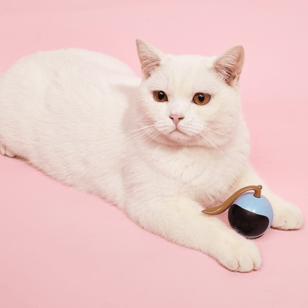 Fofos Magic Ball Tumbler Toy for Cats (White)