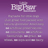 Little Big Paw Duck & Vegetable Dinner Dog Wet Food Dogs-Wet Food Little Big Paw