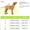 M Pets Hiking Collar For Dogs (Orange)