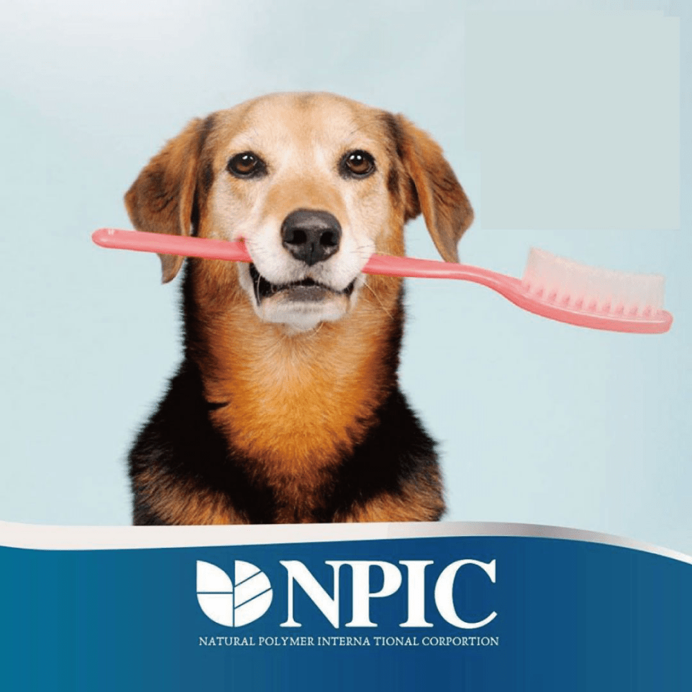 NPIC Twistix Vanilla Mint Flavor Dog Treat