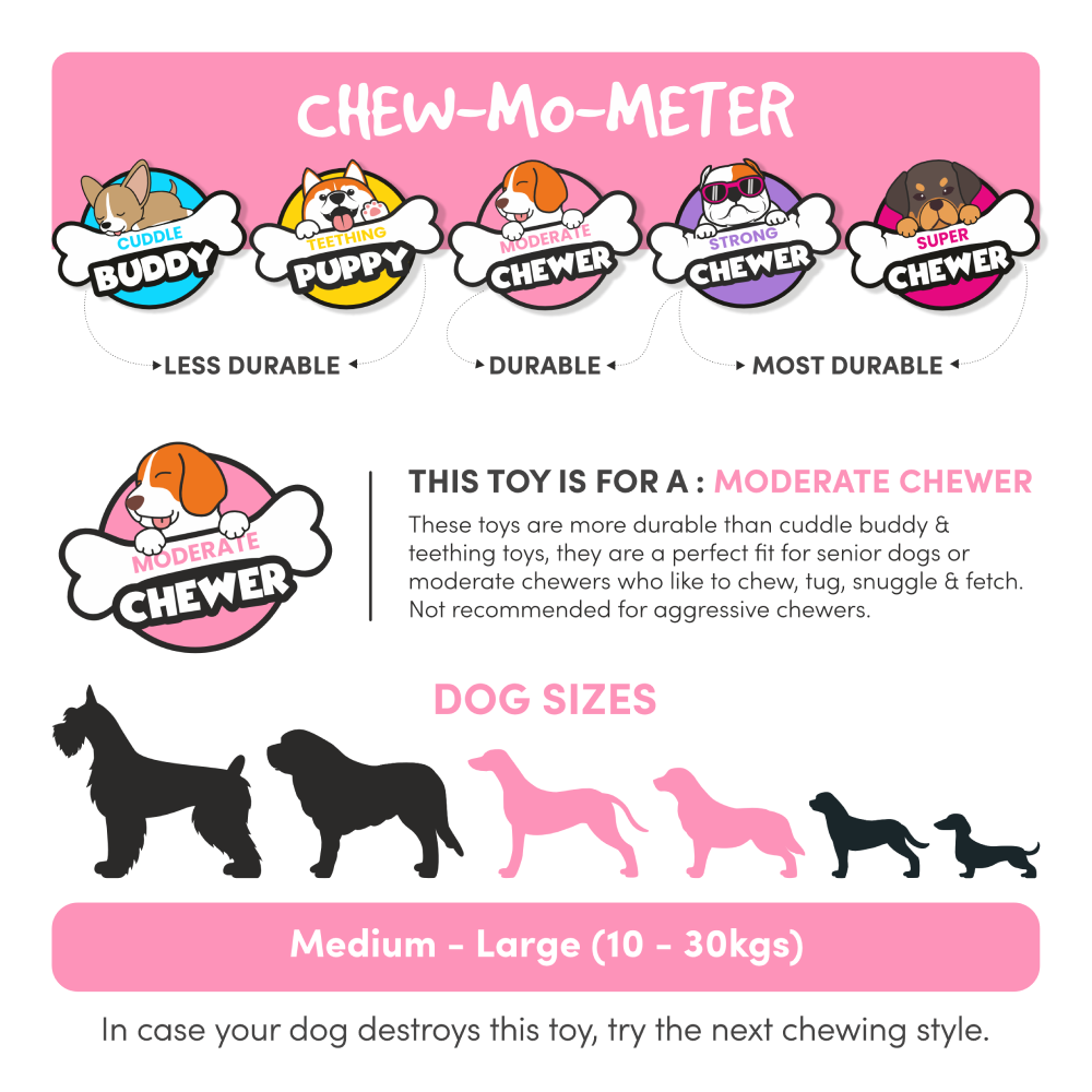 Barkbutler x Fofos Woodplay Triangle chew Toy for Dogs (Brown) Dogs-Toys Barkbutler