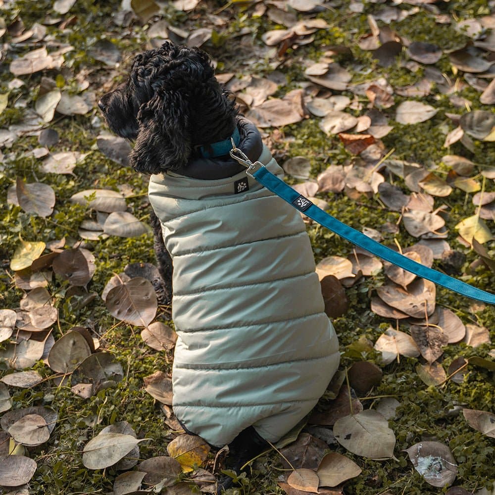 Dear Pet Quilted Jacket for Dogs (Mint)