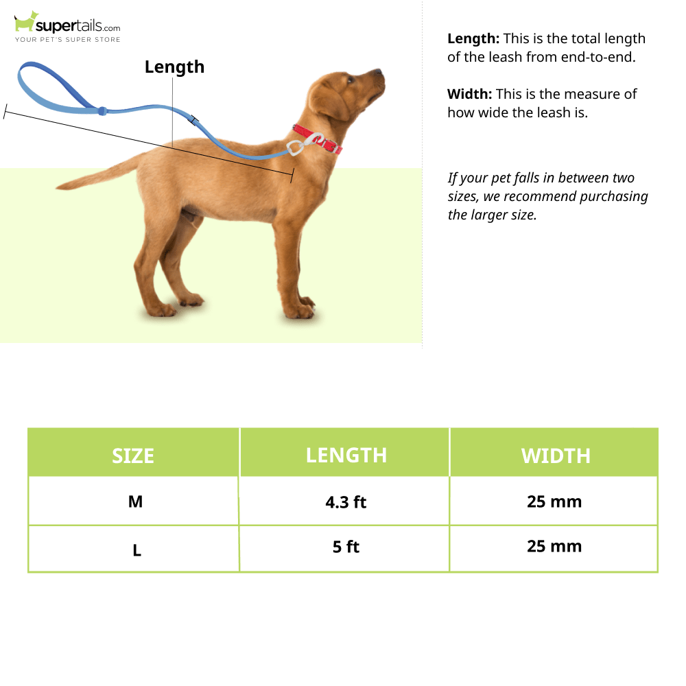 Mutt of Course Leash for Dogs (Gooseberry)