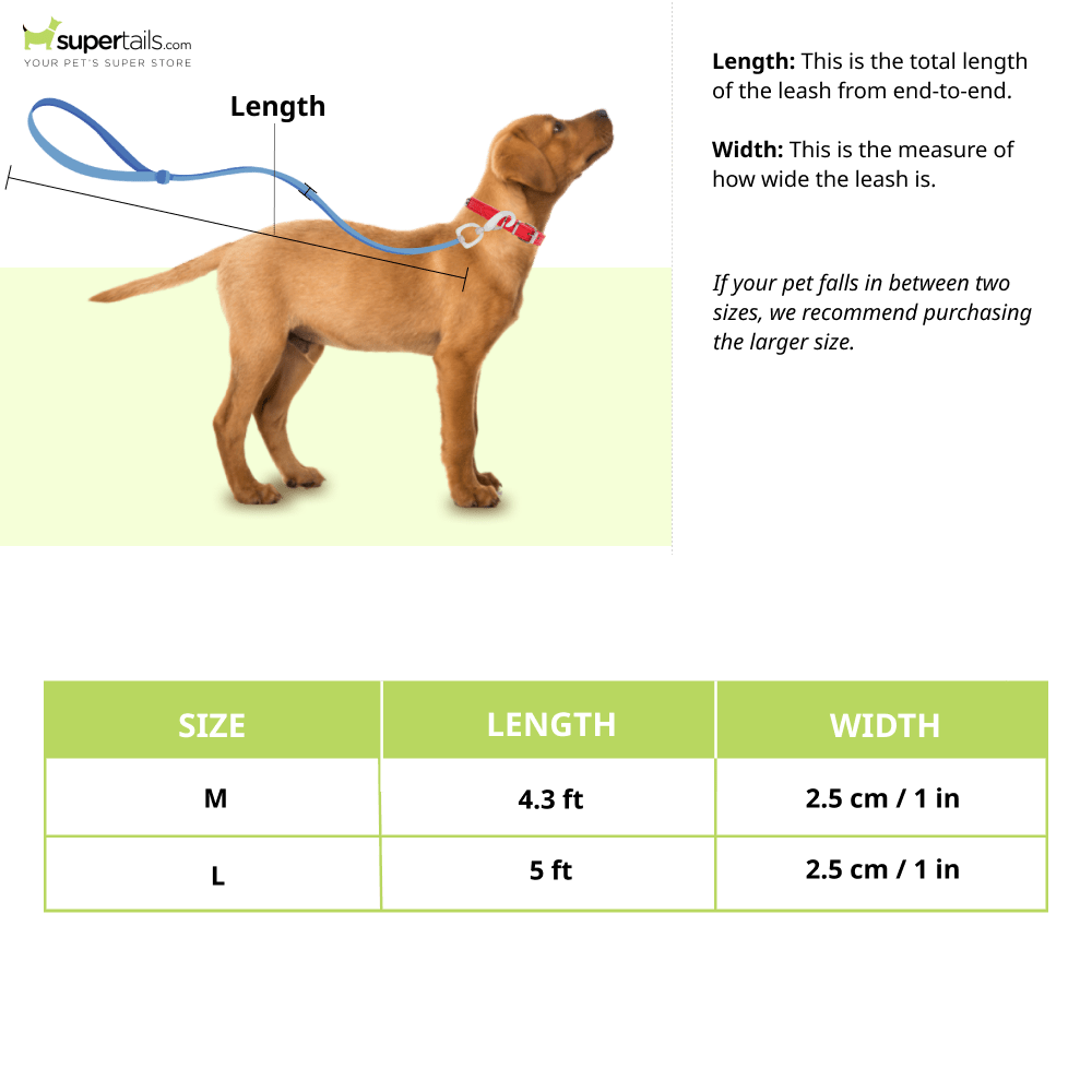 Mutt of Course Light Geometrical Leash for Dogs