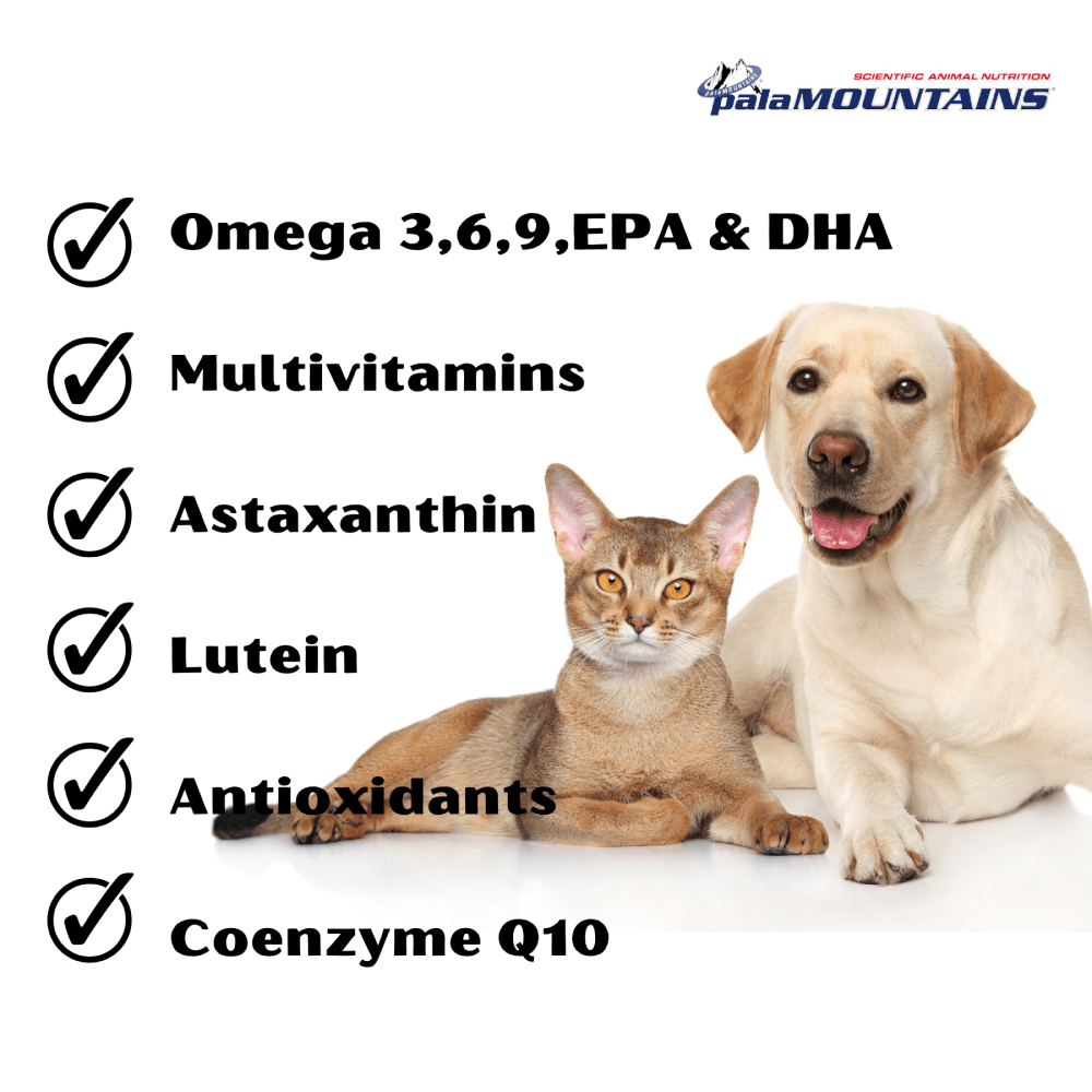 My Beau Vision & Optics Health Supplement for Dogs and Cats Both-Health & Wellness My Beau