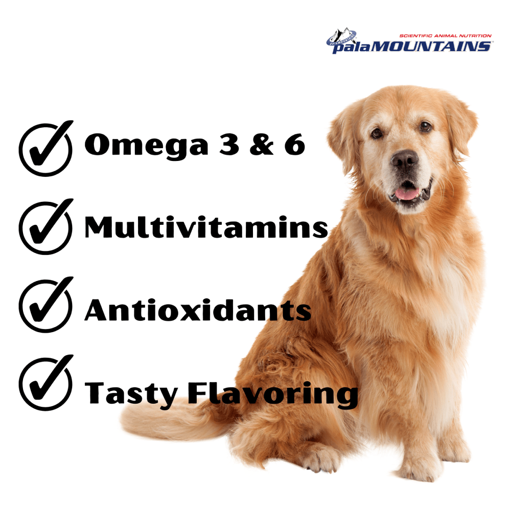 My Beau Vitamin & Mineral Food Supplement with Meat & Garlic for Dogs Dogs-Health & Wellness My Beau