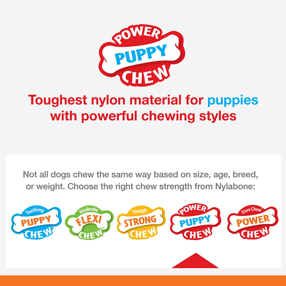 Nylabone Puppy Power Chew Toy for Dogs (Orange)