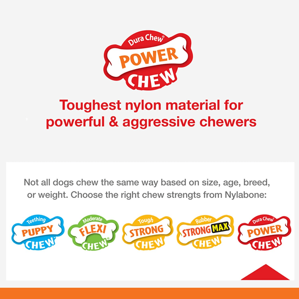 Nylabone essentials power 2024 chew