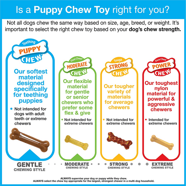Nylabone Puppy Teething Bacon Flavoured Pacifier Toy for Dogs (Blue/Pink)