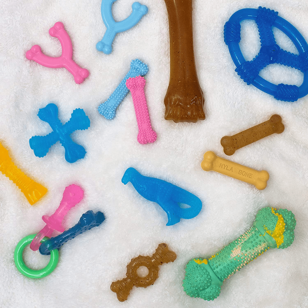 Nylabone pup sales