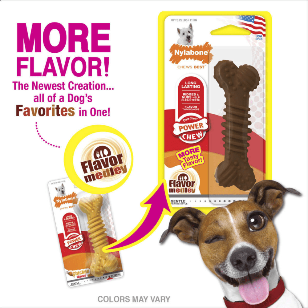 Nylabone Medley Flavoured Textured Power Chew Bone Toy for Dogs (Brown)