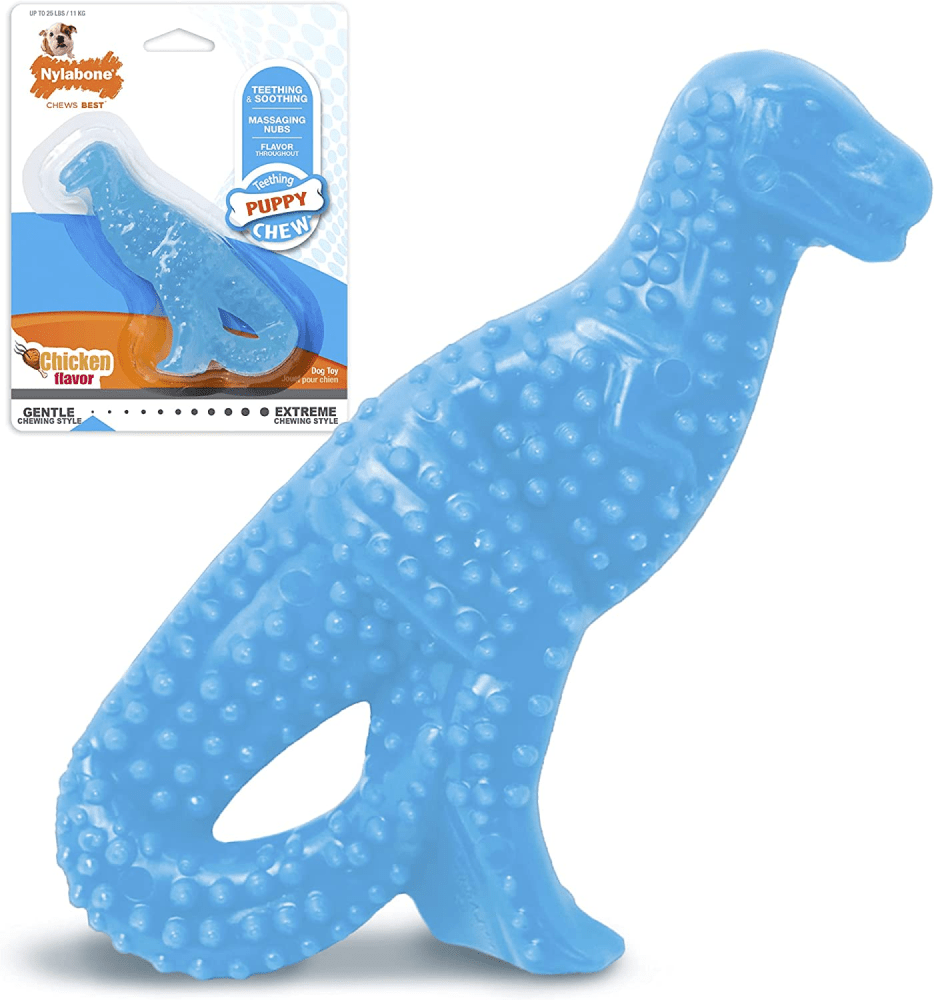 Nylabone Puppy Teething Chicken Flavoured Dino Chew Toy for Dogs (Blue)