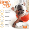 Nylabone Power Chew Flavor Frenzy Bone Twin Pack Toy for Dogs (Yellow, Brown) Dogs-Toys Nylabone