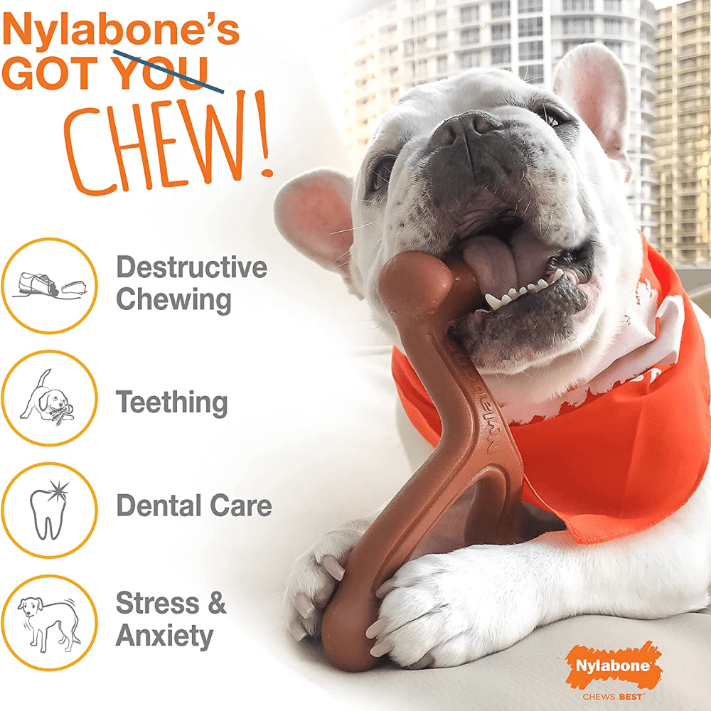 Nylabone  Power Chew Dental Arch Bone Toy for Dogs (Brown)