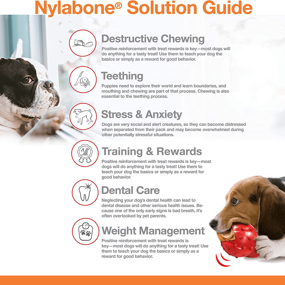 Nylabone  Power Chew Dental Arch Bone Toy for Dogs (Brown)