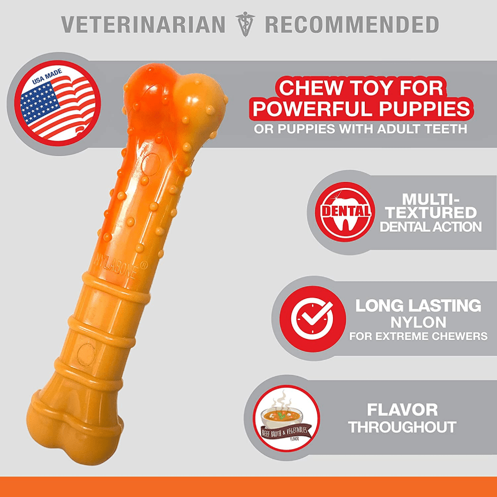 Nylabone Puppy Power Chew Toy for Dogs (Orange)