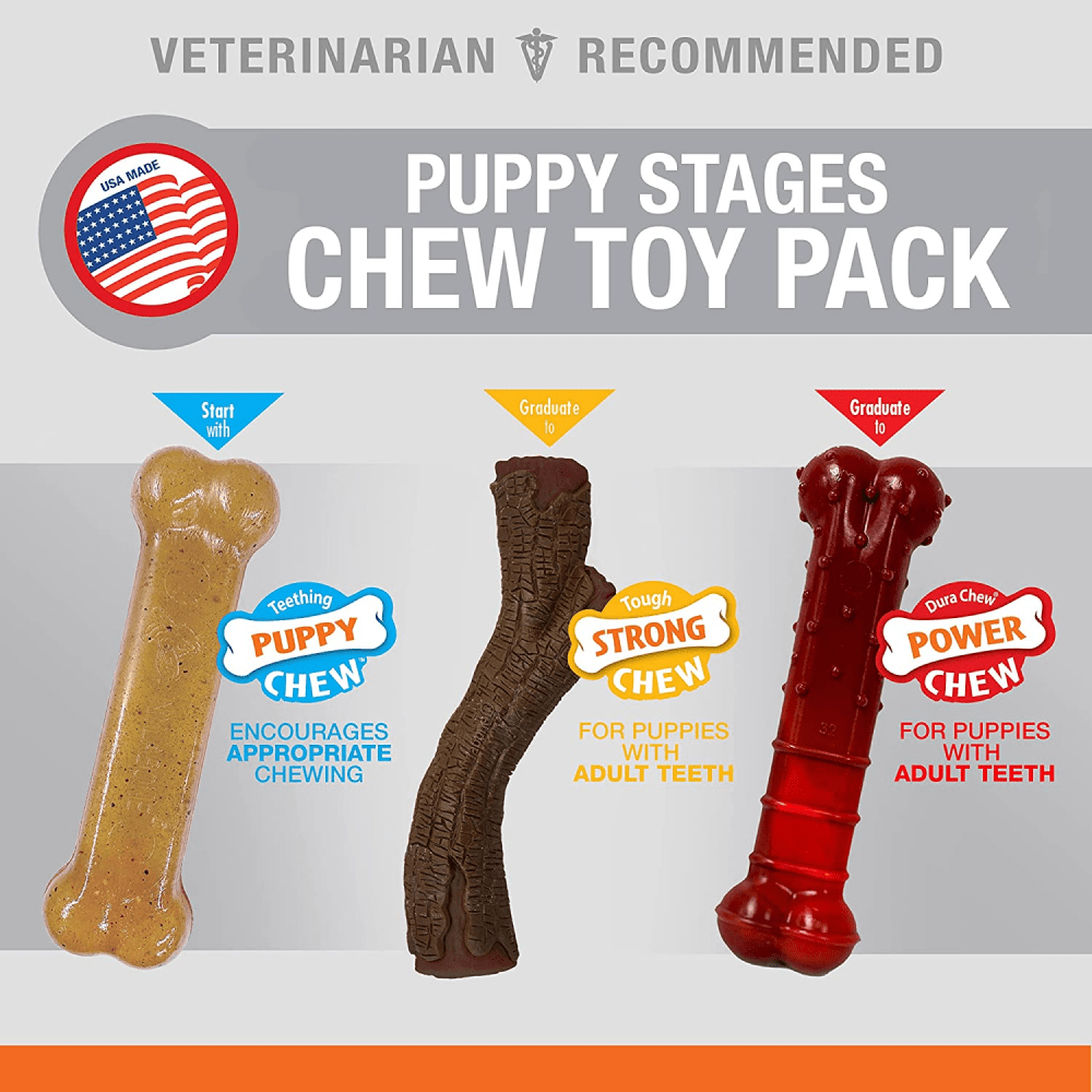 Nylabone Puppy Teething Chicken,Maple Bacon and Beef Jerky Flavoured Chew Stage Toy for Dogs (Brown/Red)