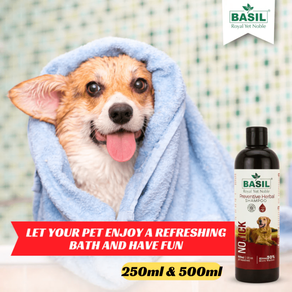 Basil Herbal No Ticks Dog Shampoo