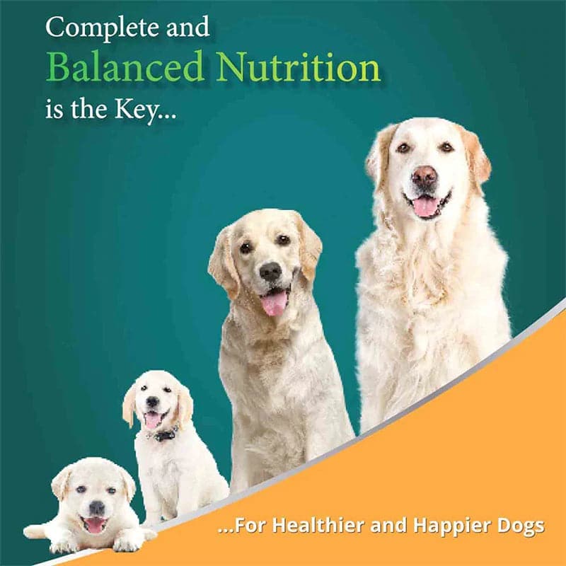 Himalaya Meat & Rice Healthy Pet Adult Dog Dry Food