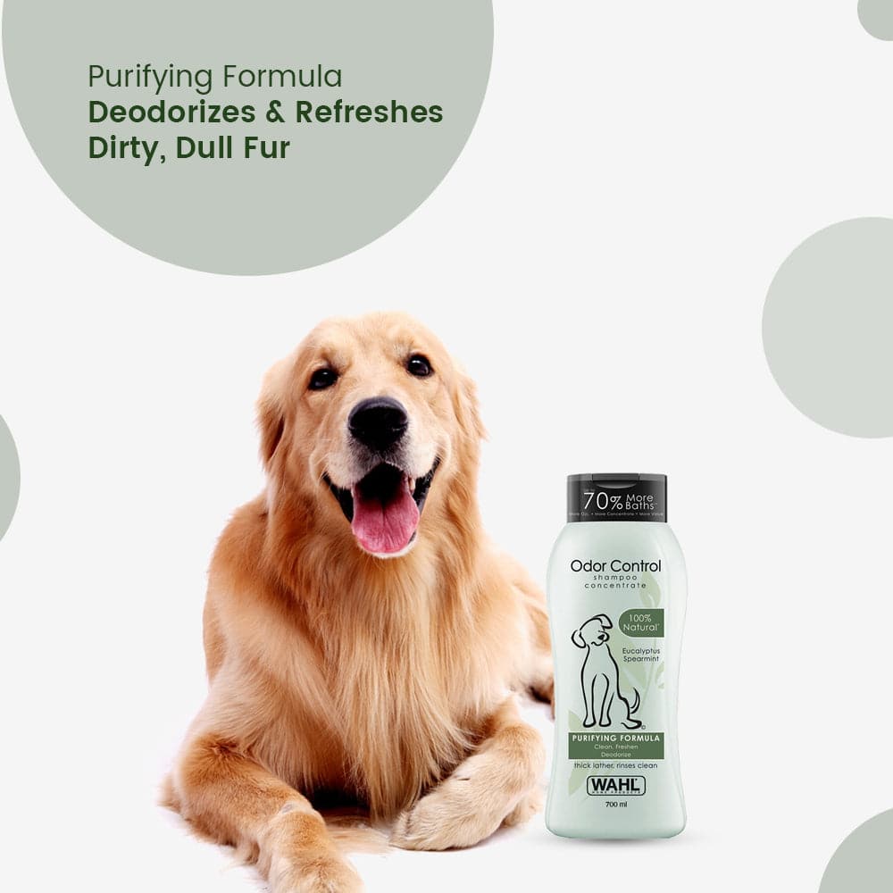 Wahl Odor Control Eucalyptus Spearmint Shampoo for Dogs