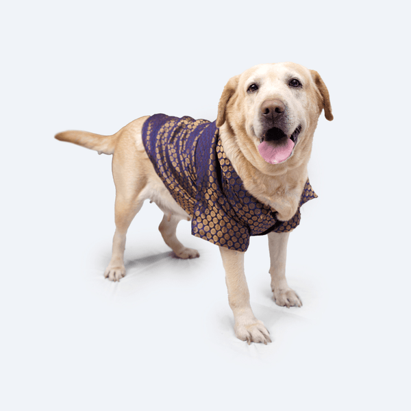 Pawgypets Occasion Wear Shirt for Dogs and Cats (Navy Blue)